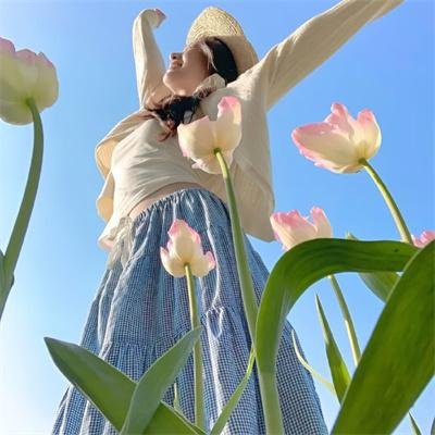 莱辛巴赫瀑布